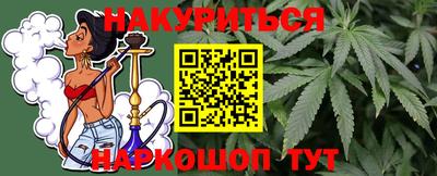 шишки Будённовск