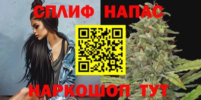 шишки Будённовск