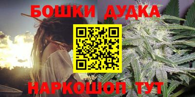 шишки Будённовск