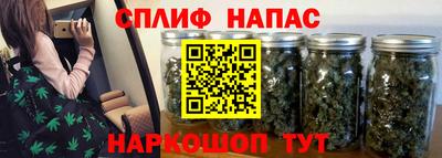 шишки Будённовск