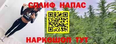шишки Будённовск