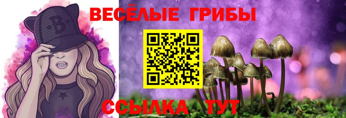 Псилоцибиновые грибы ЛСД  Вход с VPN  Красноперекопск  Галлюциногенные грибы Psilocybe 